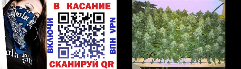 Как найти наркотики Брянск АМФЕТАМИН  Псилоцибиновые грибы  Бошки Шишки  Cocaine  СОЛЬ  Мефедрон 