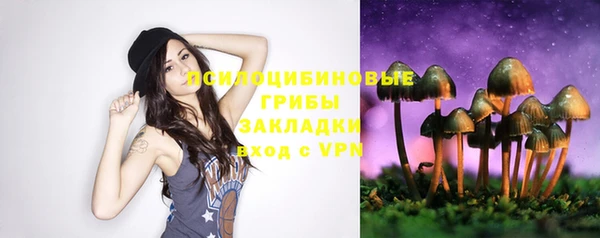 гидра Бабаево