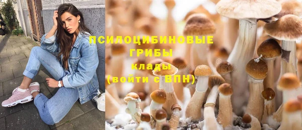 альфа пвп Верхнеуральск